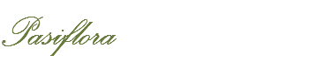 Pasiflora