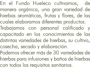 En el Fundo Hueleco cultivamos, de manera orgánica, una gran variedad de hierbas aromáticas, frutas y flores, de las cuales elaboramos diferentes productos. Trabajamos con personal calificado y capacitado en los conocimientos de las distintas variedades de hierbas, su cultivo, cosecha, secado y elaboración. Podemos ofrecer más de 30 variedades de hierbas para infusiones y baños de hierbas con todos los requisitos sanitarios.
